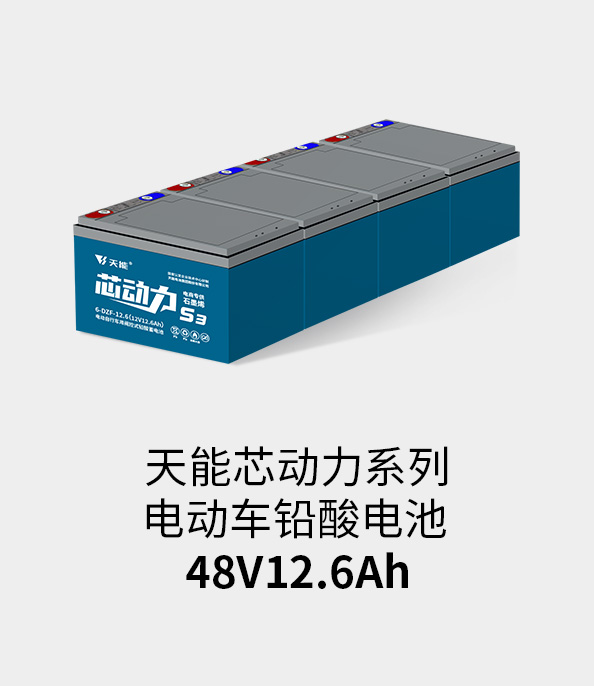 K8ҳ¼48v12ah