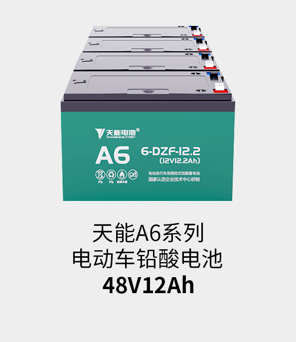 K8ҳ¼48v12ah