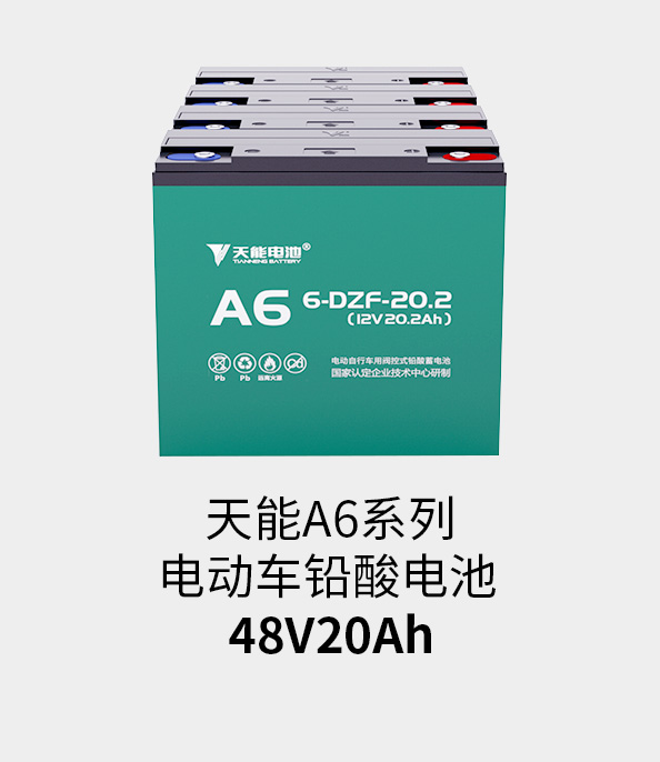 K8ҳ¼48v20ah